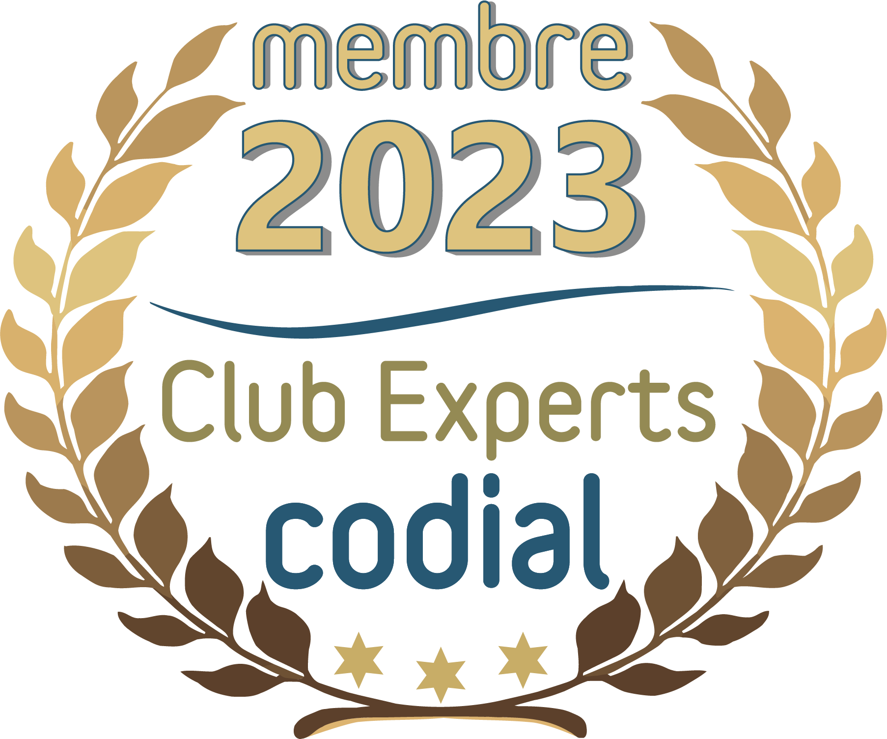 CLUB EXPERTS CODIAL